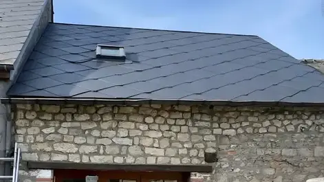 nettoyage de toiture La Chapelle-sur-Loire-1