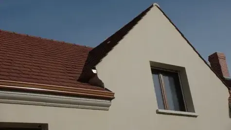 nettoyage de toiture Saumur-5